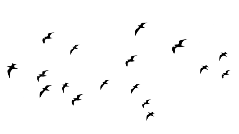 KONSEPT