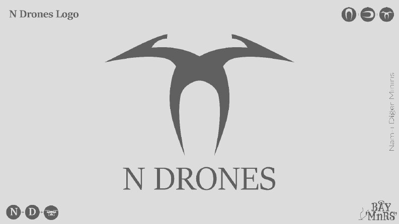 "N" Drones
