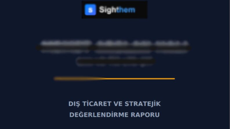 İhracat Stratejisi, Pazar Riski ve Müşteri Analizi Raporu