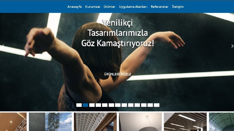 Profesyonel web sitesi 