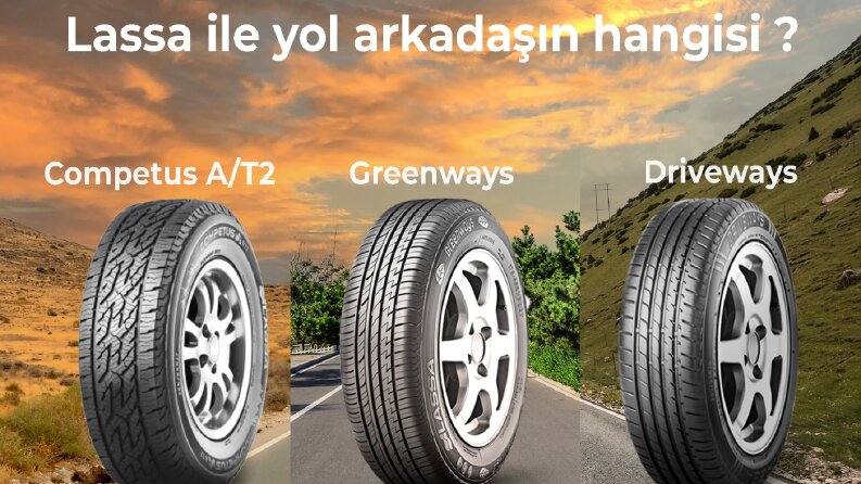 Sosyal Medya Gönderileri