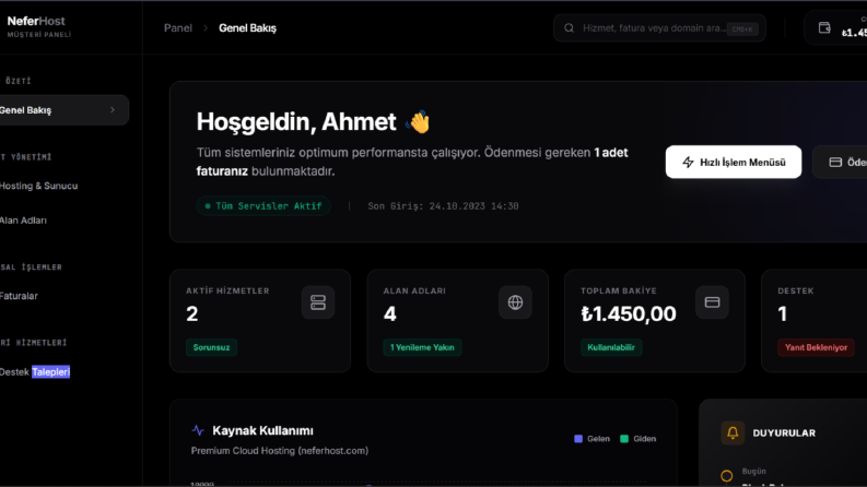 Hosting Hizmeti Sağlandı