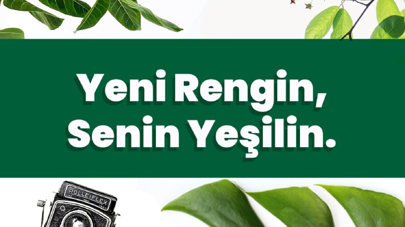 Minimalist Tasarım