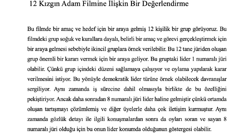 12 Kızgın Adam Filmine İlişkin Bir Değerlendirme
