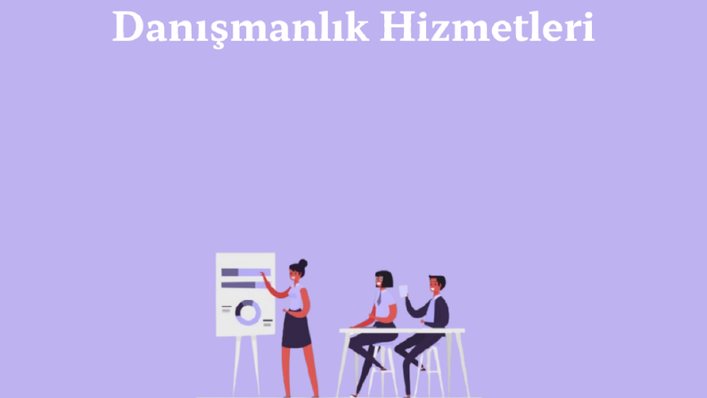 E-Ticaret Marka ve Sosyal Medya Yönetimi