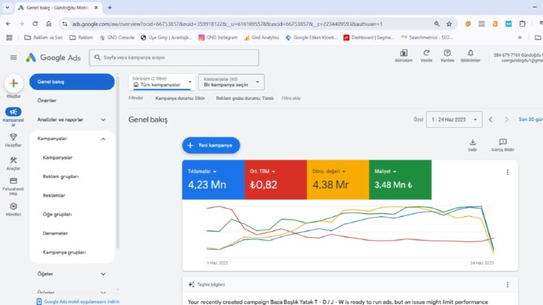 Yüksek Bütçeli Reklamları Karlı Yöneten Ads Uzmanı
