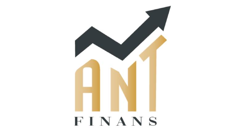 Finans şirketi için logo tasarımı 