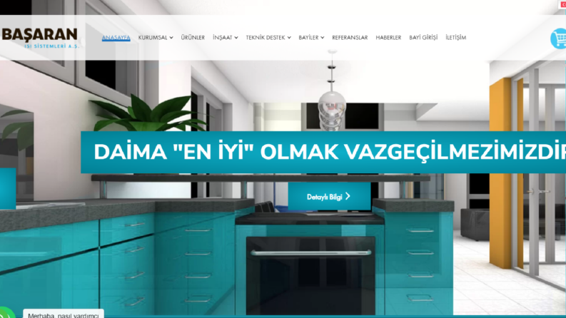 basaranisi.com