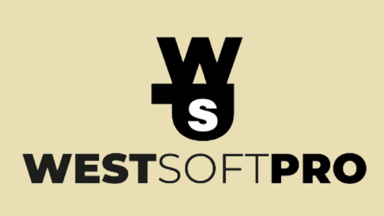 WSP - Yazılım Şirketi Konsepti