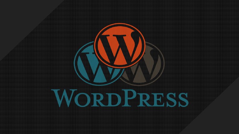 Profesyonel Wordpress