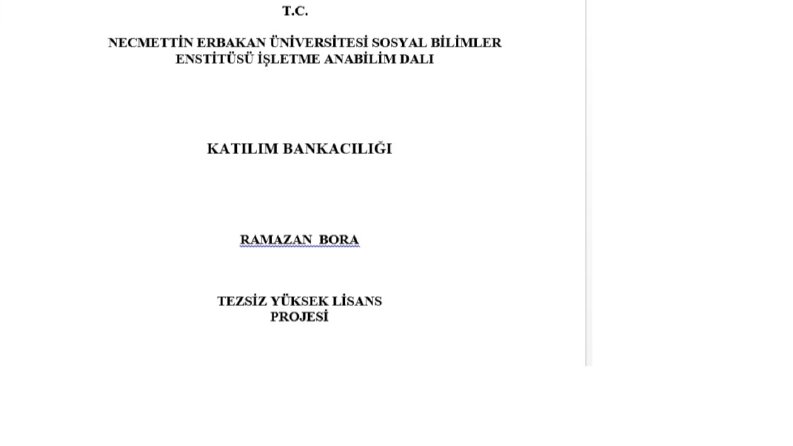 Tez Yazımı