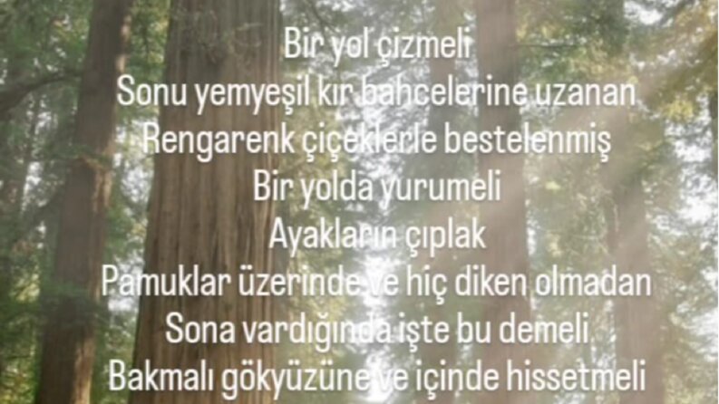 hayallerini yazıya dök