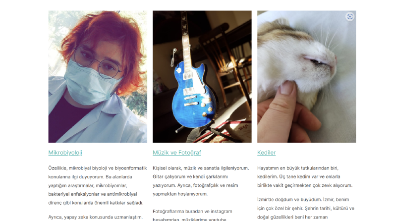 Kendi Wordpress Sitemi Kurdum