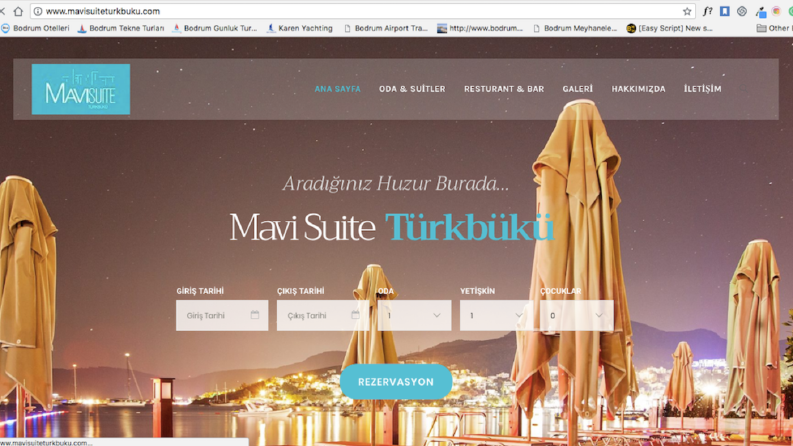 www.mavisuiteturkbuku.com