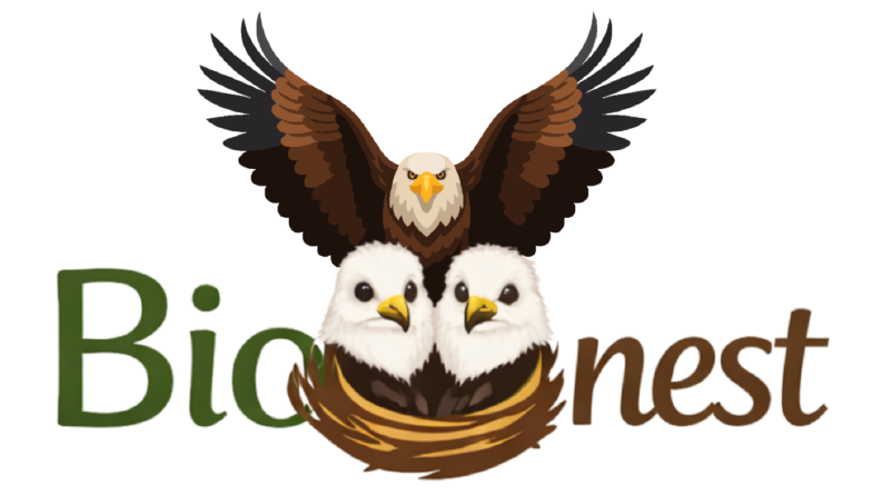 BioNest Dergisi için Logo Tasarımı