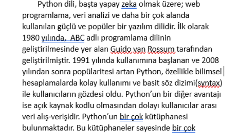PYTHON DİLİ HAKKINDA SEO UYUMLU MAKALE