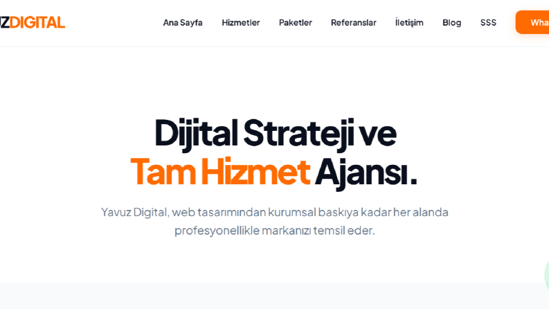 Web Sitesi Tasarımı
