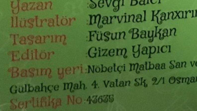 Kitap düzenleme