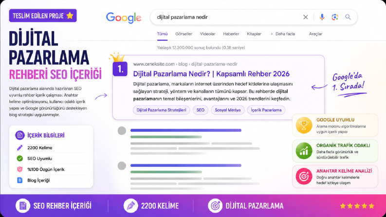 Dijital Pazarlama Rehberi SEO İçeriği