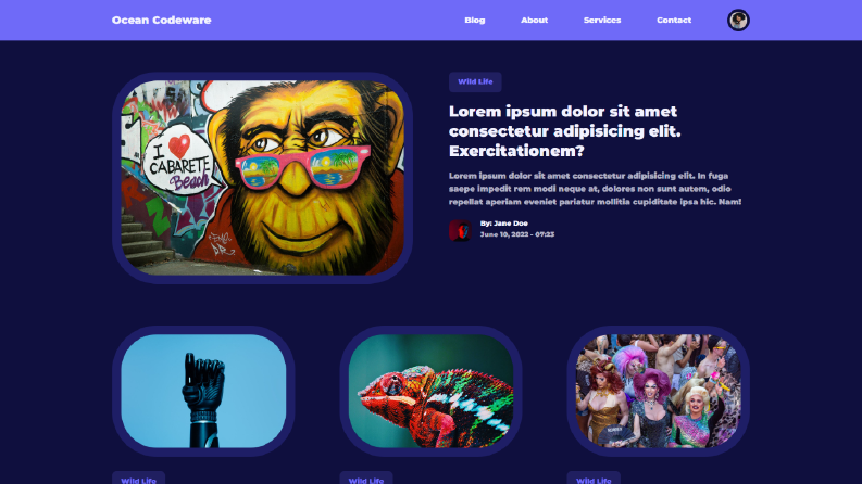 Blog Web Sitesi