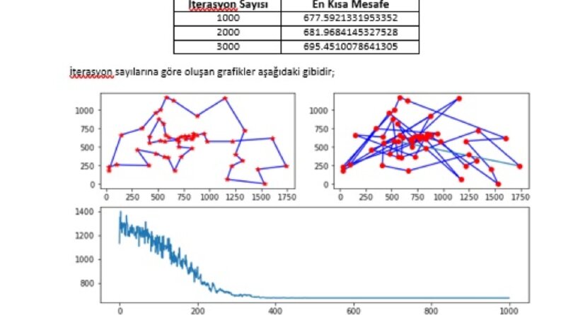 Python ile Gezgin Satıcı Problem çözümü