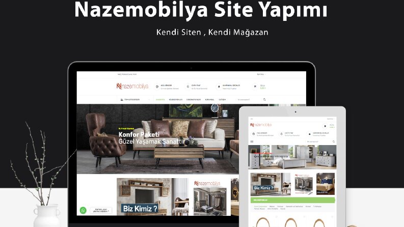 profesyonel şekilde anahtar teslim web sitesi