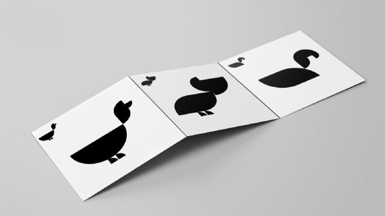 Kuş Türleri İkon-Logo tasarımı