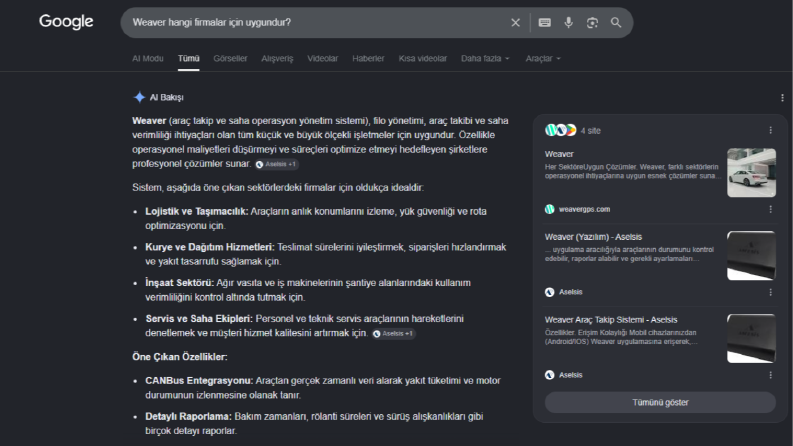 Profesyonel SEO/GEO ile Görünürlüğü ve Trafiği Arttırın