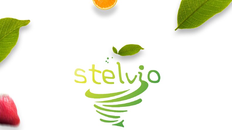 Stelvio Brochure & logo