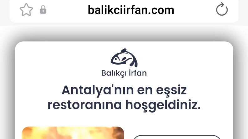İşletmeler için sade, hızlı ve etkili web siteleri