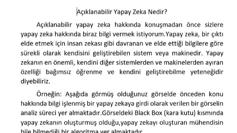 Açıklanabilir Yapay Zeka 
