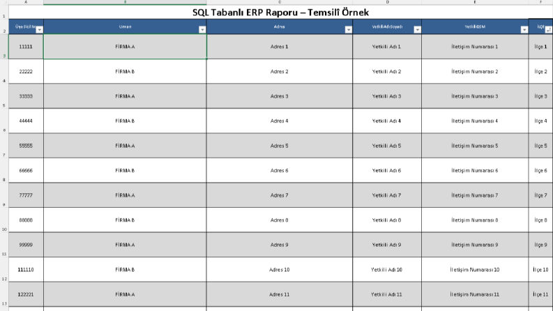 ERP İçin SQL Stok ve Satış Raporlama Projesi