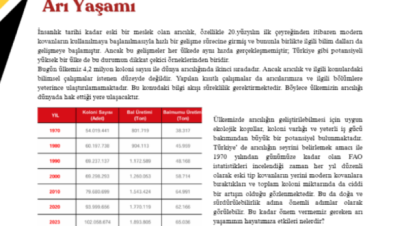 Dergi Yazısı ve Sayfa Tasarımı – Arıcılık Bilgilendirmesi