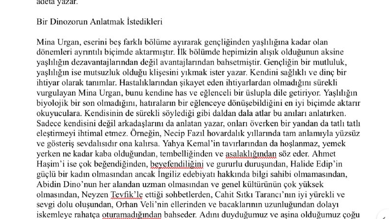 Metin Yazarlığı