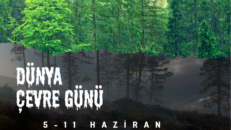 Afiş Tasarımı 