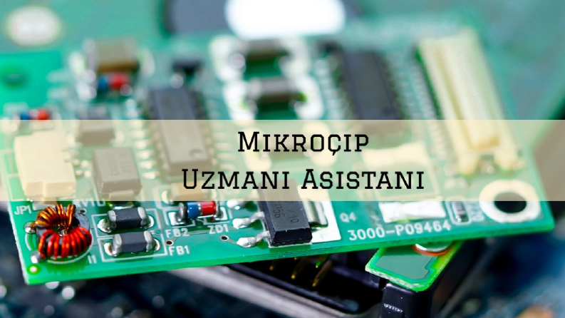 Mikroçip Uzmanı Asistanı