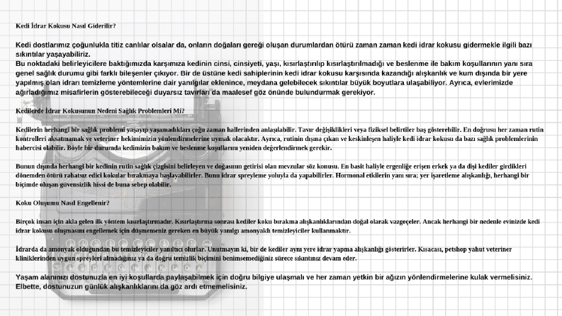 SEO Makale Yazarlığı Hizmeti