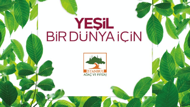 Ağaç AŞ Katalog