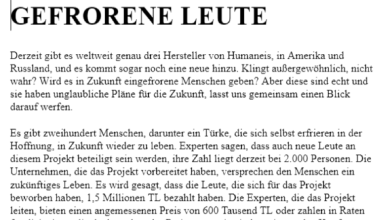 Örnek makale Almanca