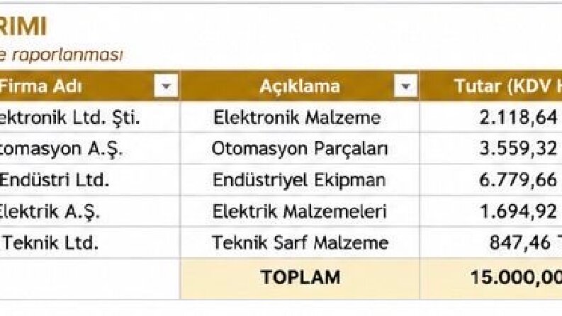 PDF'den Excel'e Veri Aktarımı
