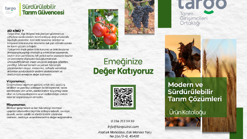 Broşür-Katalog Tasarımı 