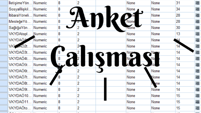 Psikoloji Alanında Anket Çalışması