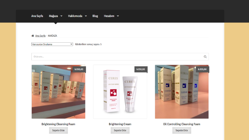 Meltemce - Anahtar Teslim Site