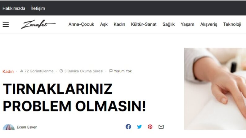 Web Site İçeriği