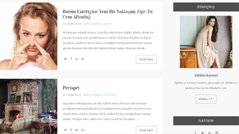 Web Sitesi / Blog Yazıları