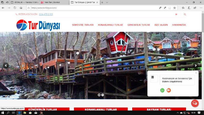 Worldpress HOSTİNG DOMAİN