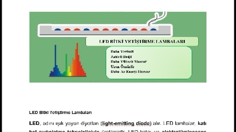 Web Siteleriniz İçin SEO uyumlu içerik 