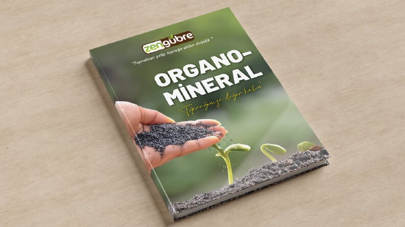 Kitap kapağı tasarımı