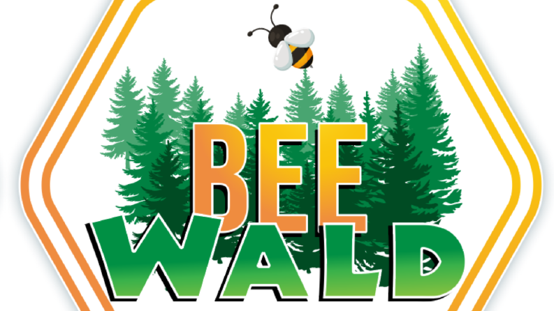 Beewald Logo Tasarımı