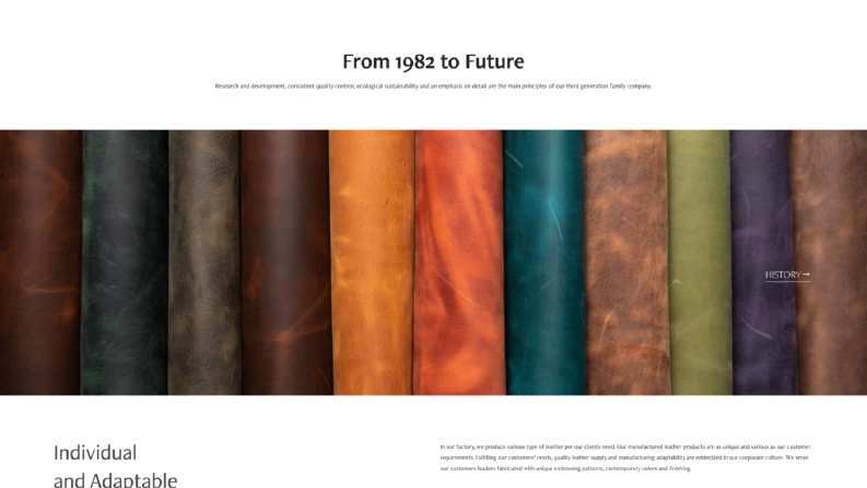 Albes Leather